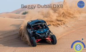 How Much Does It Cost to Dune Buggy in Dubai?